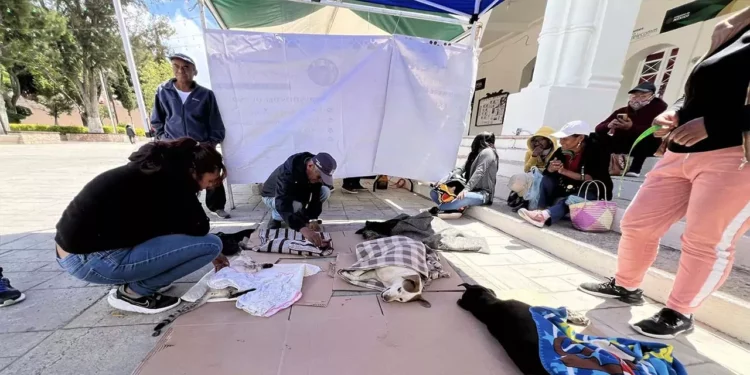 Más de 35 perritos y gatitos fueron esterilizados de manera segura y responsable.
