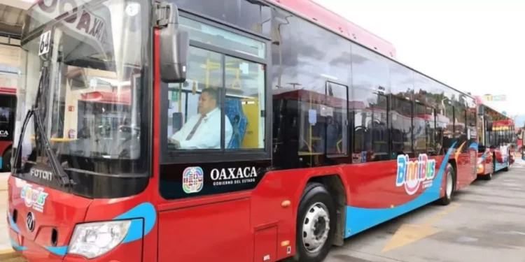 BinniBus amplía rutas y promete movilidad más rápida y eficiente en Oaxaca