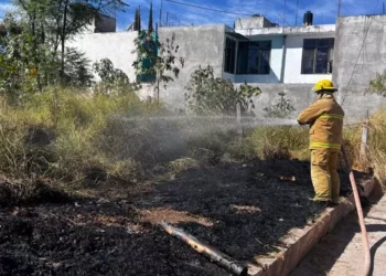 Controlan incendio de pastizales.