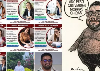 ¿Acoso desde el Congreso? Diputado de Morena busca solo mujeres jóvenes para su equipo y desata indignación
