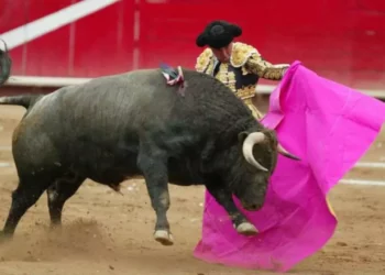 ¿Adiós a la fiesta brava? Venció el plazo para regular las corridas sin sangre en CDMX