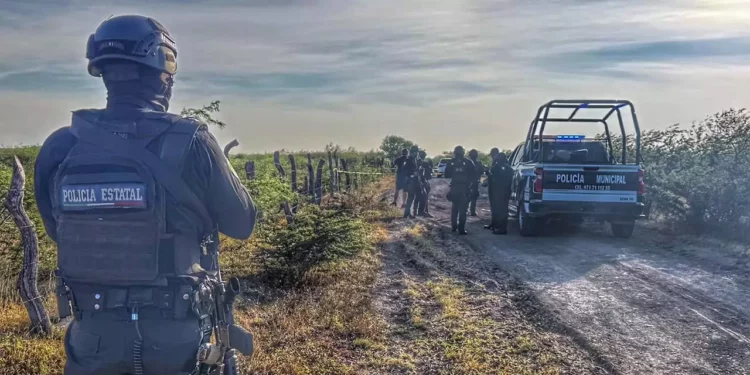 El Istmo de Tehuantepec vive un incremento sostenido de violencia.