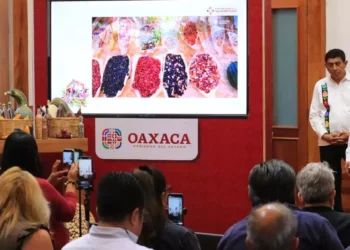 Foto: Adrián Gaytán // Este año regarán el campo con 500 mdp más respecto a 2024.