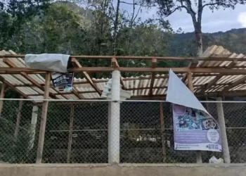 Impacta frente frío número 13 en Oaxaca