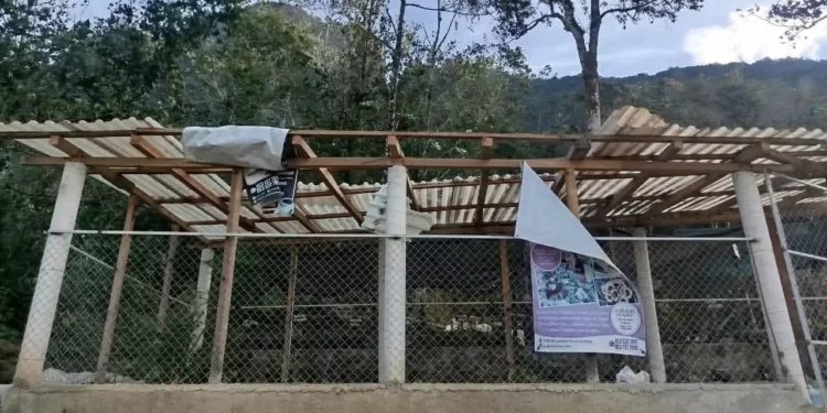 Impacta frente frío número 13 en Oaxaca