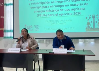 Abren inscripción para subsidio a uso de energía en el campo