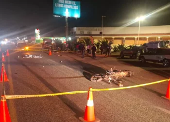 Motociclista de 18 años muere tras ser embestida sobre la carretera a Tlacolula