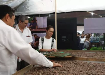 Foto: Presidencia de la República // En Tabasco, la presidenta Claudia Sheinbaum anuncia la primera planta procesadora de Chocolate Bienestar.