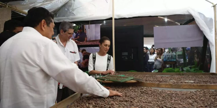 Foto: Presidencia de la República // En Tabasco, la presidenta Claudia Sheinbaum anuncia la primera planta procesadora de Chocolate Bienestar.