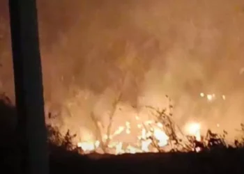 Los fuertes vientos complicaron la labor de los bomberos.