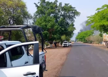 Ambientalistas bajo fuego criminal en Madero, Michoacán