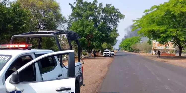 Ambientalistas bajo fuego criminal en Madero, Michoacán