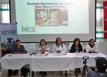 Foto: Adrián Gaytán // Mínima respuesta de productores de tortilla de Oaxaca a convocatoria federal.