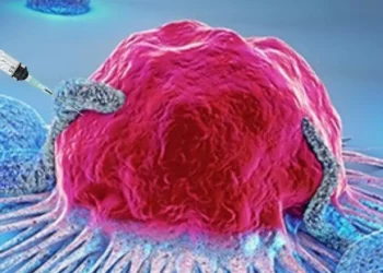¿Virus del herpes contra el cáncer? La revolución oncolítica que ya está en marcha
