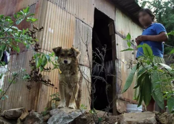 Foto: Archivo El Imparcial // Persisten graves divergencias sociales en Oaxaca, advierte el IMCO.