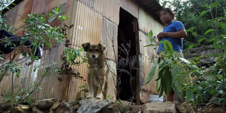 Foto: Archivo El Imparcial // Persisten graves divergencias sociales en Oaxaca, advierte el IMCO.