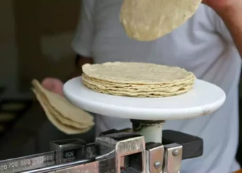 Tortilla carísima: dónde ya cuesta más de $30 el kilo en México