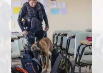 Se presentaron en los planteles para entrevistar a alumnado, docentes y directivos.