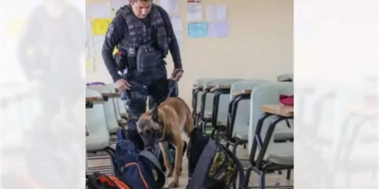 Se presentaron en los planteles para entrevistar a alumnado, docentes y directivos.