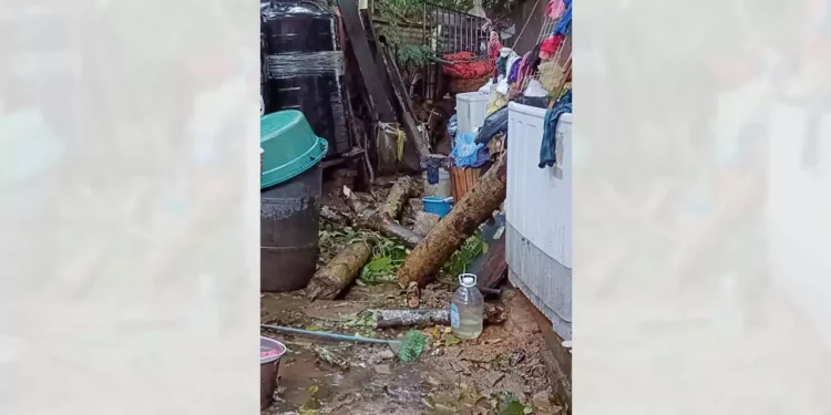 Foto: Juan Carrera // Se quejan por la caída de un árbol.