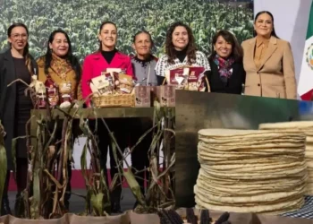 ¿Cuánto costarán las Tortillas del Bienestar?