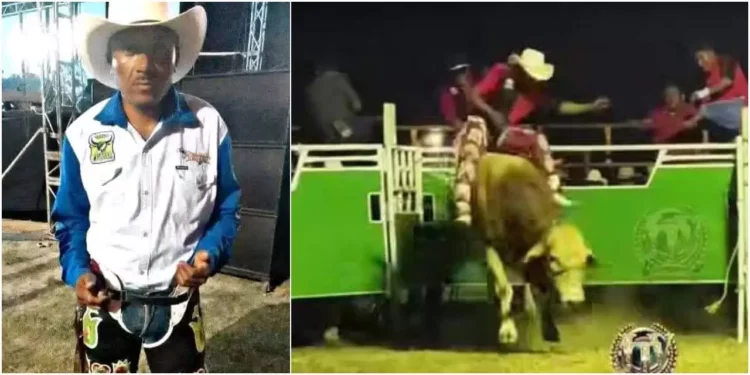 Durante una monta, Honorio cayó del toro y fue pisado a la altura del pecho.