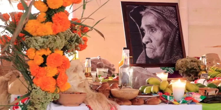 Foto: Adrián Gaytán // Una ofrenda dedicada a la sacerdotisa de los hongos, María Sabina.