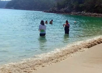 ¿Te vas a la playa limpia? Revisan calidad de agua previo a vacaciones