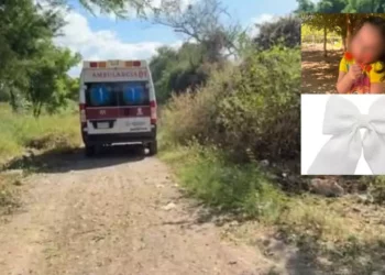 Hallan sin vida a la pequeña Noelia Daylen, de 4 años, desaparecida en Juchitán