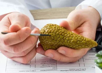 Foto: internet – ilustrativa // La Secretaría de Salud federal señala al menos 50 atenciones médicas en lo que va de 2025 por tumor maligno del páncreas en Oaxaca.
