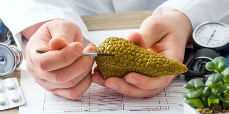 Foto: internet – ilustrativa // La Secretaría de Salud federal señala al menos 50 atenciones médicas en lo que va de 2025 por tumor maligno del páncreas en Oaxaca.