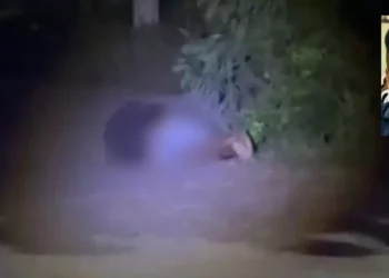 Hallan cadáver torturado en Juchitán; familiares retiran al occiso del lugar