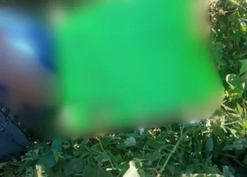 Hallan cuerpo con signos de tortura en carretera Unión Hidalgo-Chicapa de Castro