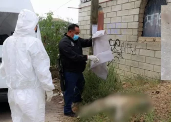 ¡Brutal ataque! Matan a perrita a puñaladas en San Martín Mexicápam