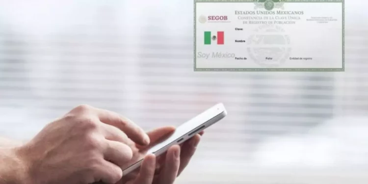 ¿Tus datos en riesgo? El nuevo Padrón de Telefonía obligará a registrar todos los celulares con CURP