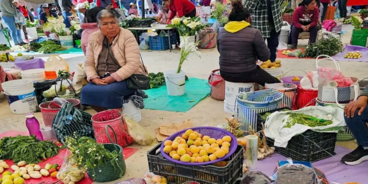 Familias de la Mixteca enfrentan el cierre de año con cenas austeras ante la difícil situación económica.
