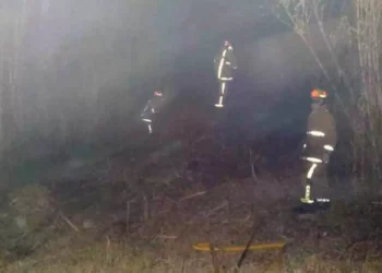 La presunta causa del incendio fue la quema de basura.