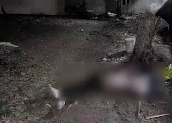 Fotos: cortesía // Peritos levantaron indicios en el predio donde apareció el cuerpo de Ricardo, entre Coyotepec y Cuilápam.