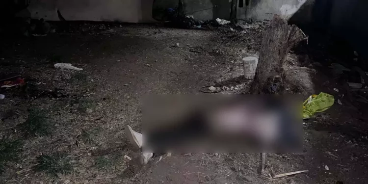 Fotos: cortesía // Peritos levantaron indicios en el predio donde apareció el cuerpo de Ricardo, entre Coyotepec y Cuilápam.