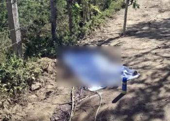 Se desconoce el móvil del crimen y la identidad completa del presunto acompañante.