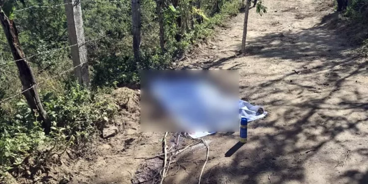 Se desconoce el móvil del crimen y la identidad completa del presunto acompañante.