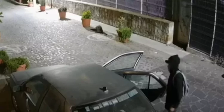 Foto: Tomada de video // Video captado de una cámara de seguridad; delincuentes abren y sustraen objetos de un automóvil estacionado en el barrio de Xochimilco.