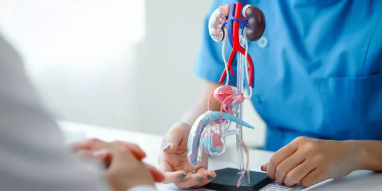 Foto: internet – ilustrativa // Más del 65% de todos los cánceres de próstata se diagnostican en hombres de más de 65 años.