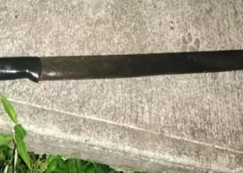 El joven fue asegurado tras golpear con un machete las paredes de una tienda en la carretera a Oaxaca.