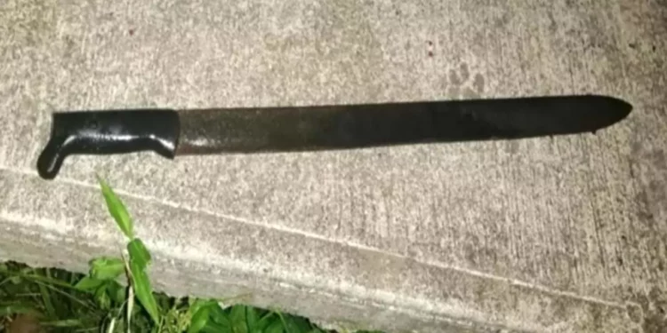 El joven fue asegurado tras golpear con un machete las paredes de una tienda en la carretera a Oaxaca.