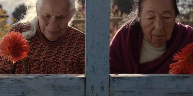 Imagen: Captura de pantalla // Entre las proyecciones están el cortometraje "La soledad", de la cineasta oaxaqueña María Conchita Díaz.