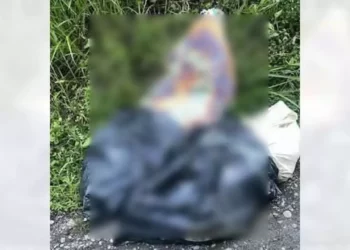 Los cuerpos corresponden a un menor de 17 años de edad y otro joven de 22 años.