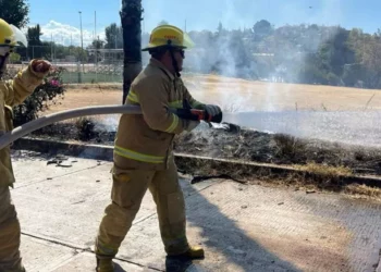Bomberos sofocaron el fuego que consumía una palmera de ocho metros en la colonia del Maestro.
