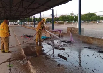 Controlan incendio en un puesto de comida dentro del tianguis de la colonia Aviación.