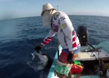 Este fin de semana se realizará el Torneo de Pesca en Tonameca.
